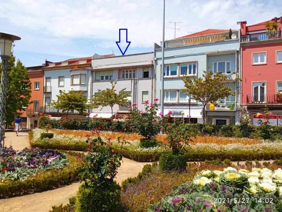 Sasimi Auberge de jeunesse *